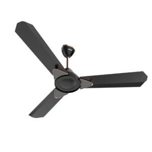 Fresho BLDC Ceiling Fan