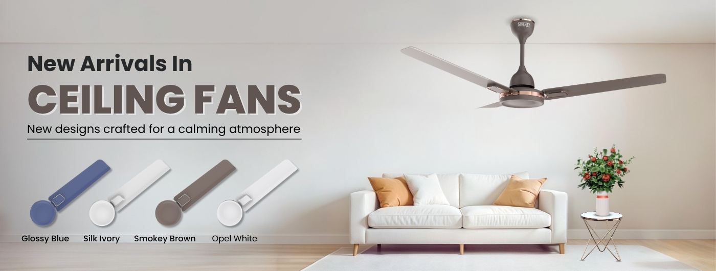 Website Banner July - Aug 2025 (1)